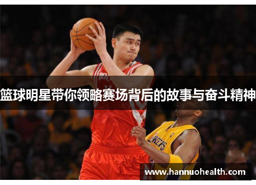 篮球明星带你领略赛场背后的故事与奋斗精神