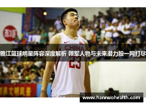 雅江篮球明星阵容深度解析 领军人物与未来潜力股一网打尽